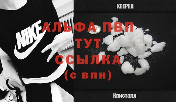 стаф Каменка