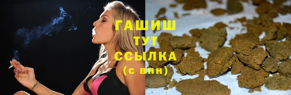 стаф Каменка