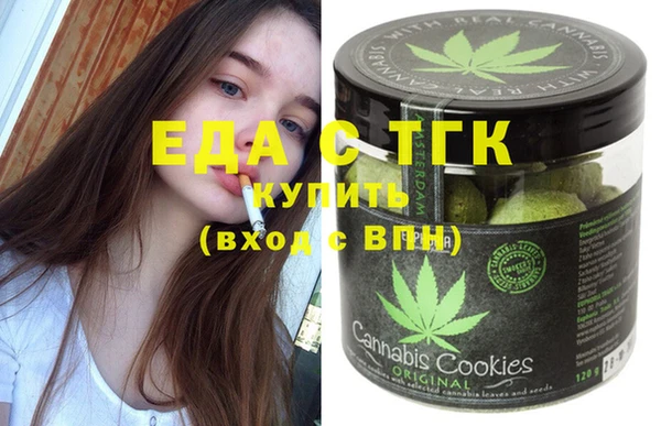 стаф Каменка
