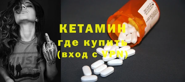 стаф Каменка