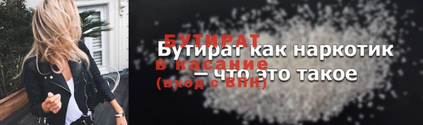 стаф Каменка