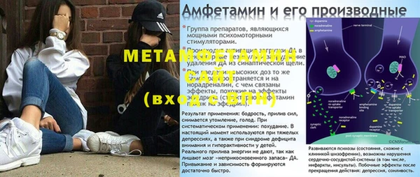 стаф Каменка
