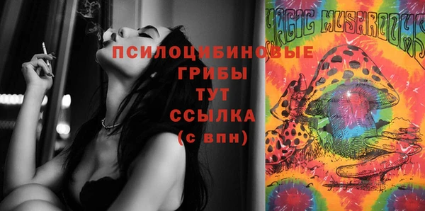 каннабис Каменногорск