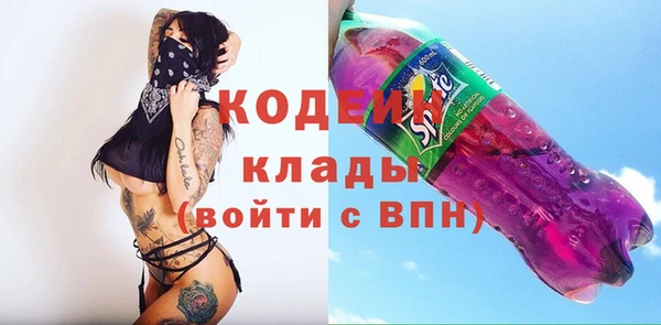 стаф Каменка