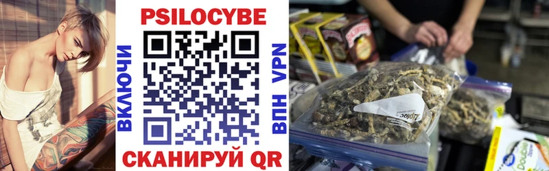 Псилоцибиновые грибы прущие грибы  Купить закладки  Буинск 